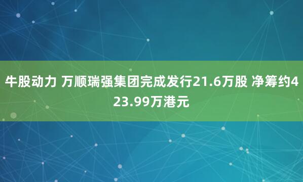 牛股动力 万顺瑞强集团完成发行21.6万股 净筹约423.99万港元